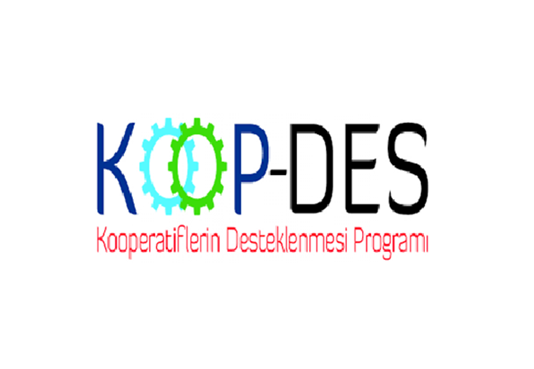 2026 YILI KOOP-DES BAŞVURULARI